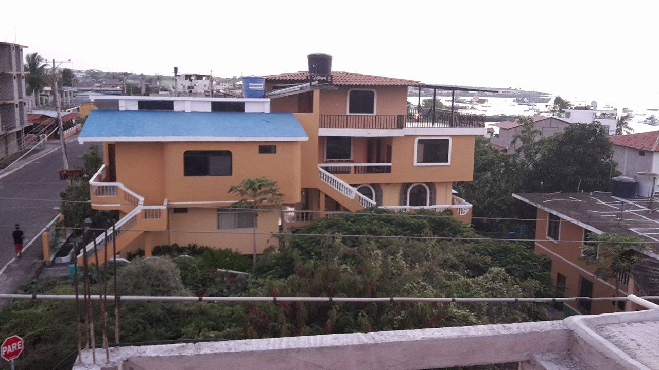 Dolphin House