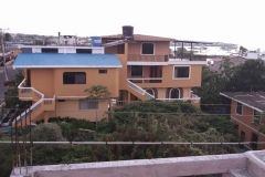 Dolphin House