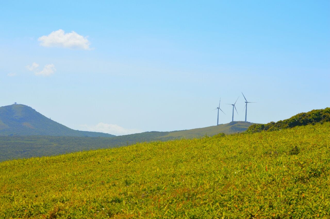 Energía Eólica
