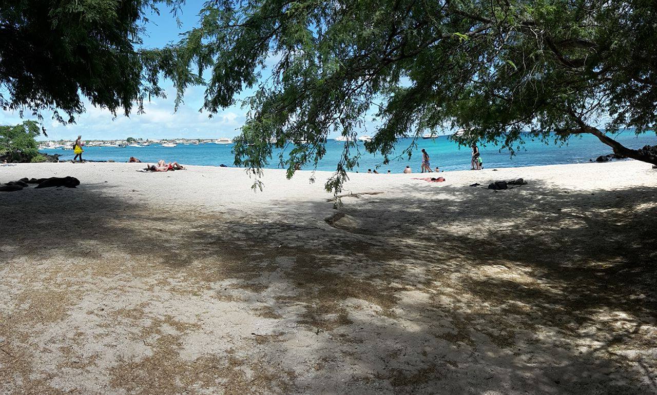 Playa Mann