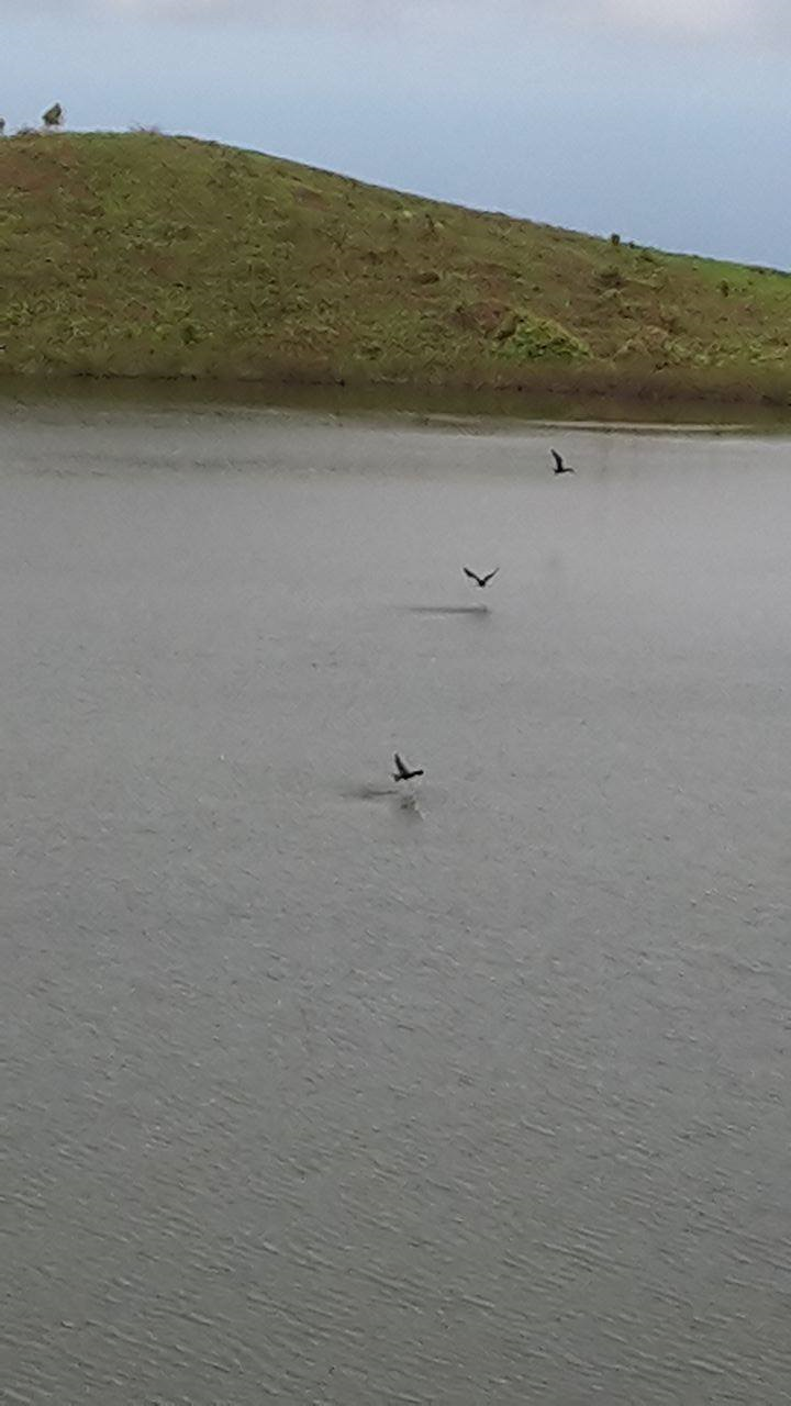 Laguna El Junco