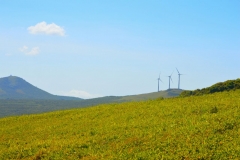 Energía Eólica