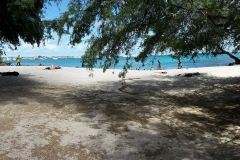 Playa Mann