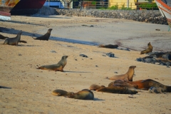 Playa Los Marinos