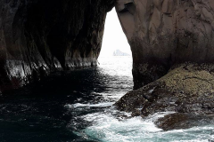 roca