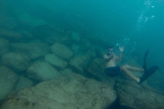 snorkel